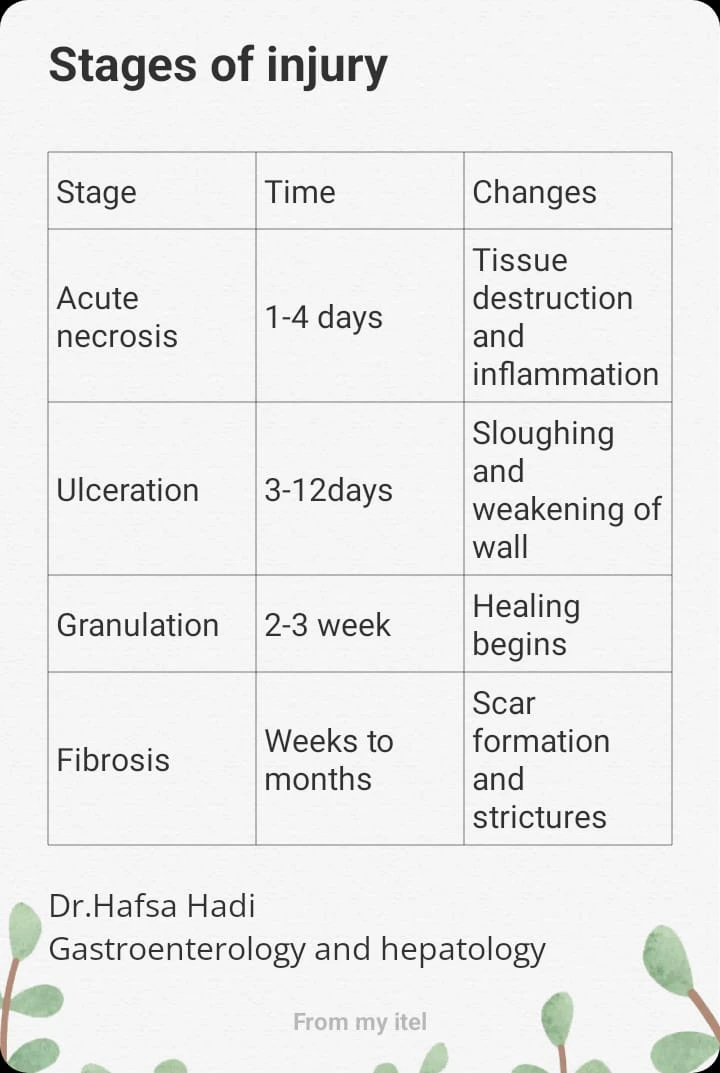 stages of corrosive injury