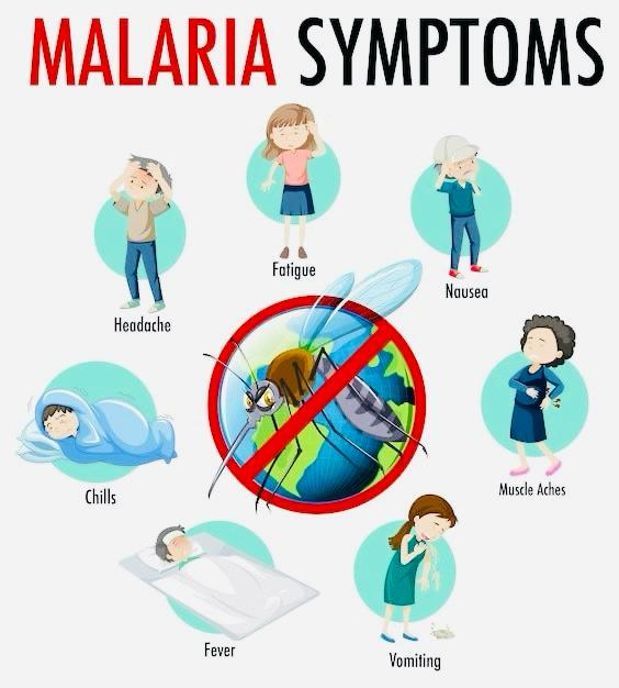 Common malaria symptoms and warning signs infographic