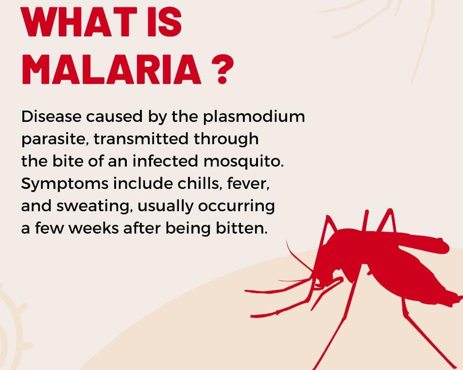 What is malaria definition and symptoms infographic