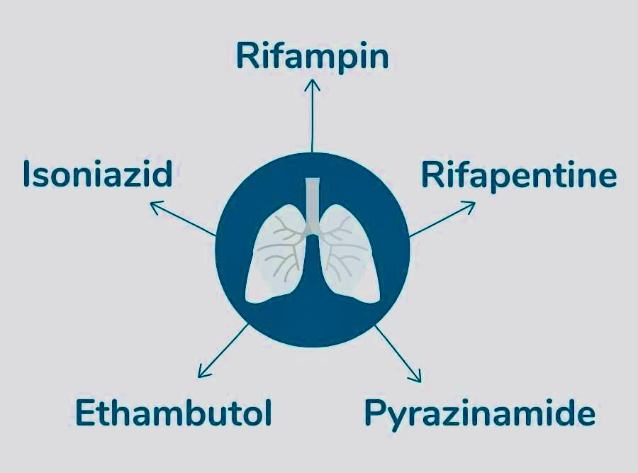 Four primary first line antibiotics used for tuberculosis medical treatment