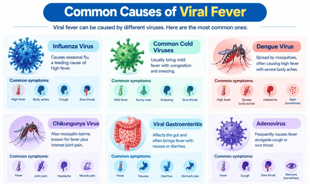 Complete guide on viral fever symptoms and care explaining major causes like influenza, dengue virus, chikungunya and viral gastroenteritis